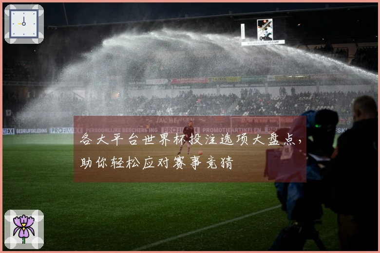 各大平台世界杯投注选项大盘点，助你轻松应对赛事竞猜