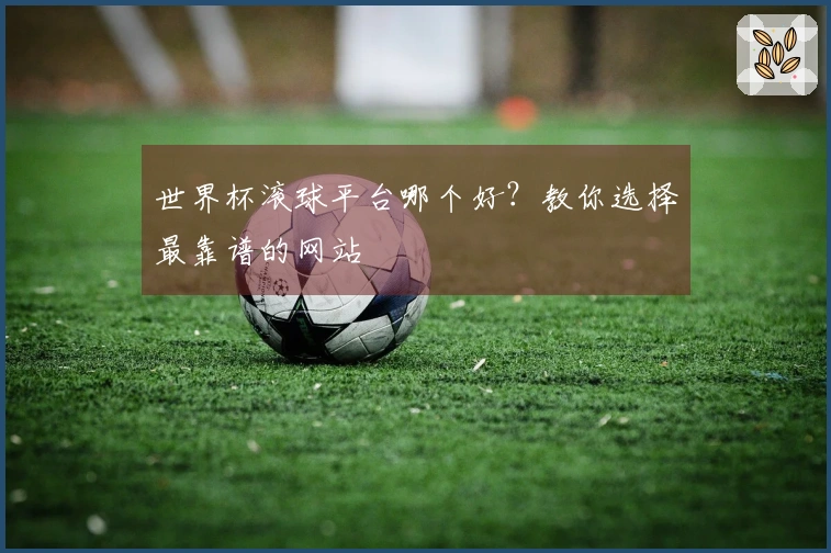 世界杯滚球平台哪个好？教你选择最靠谱的网站