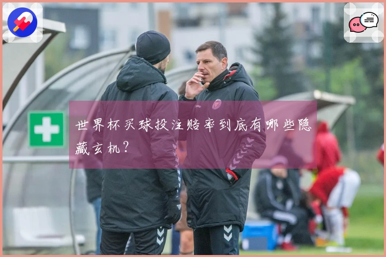 世界杯买球投注赔率到底有哪些隐藏玄机？