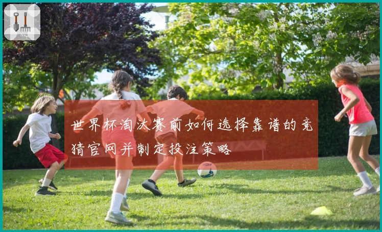 世界杯淘汰赛前如何选择靠谱的竞猜官网并制定投注策略