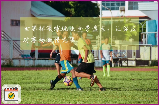 世界杯滚球玩法全景盘点,让你应对赛场激情无限