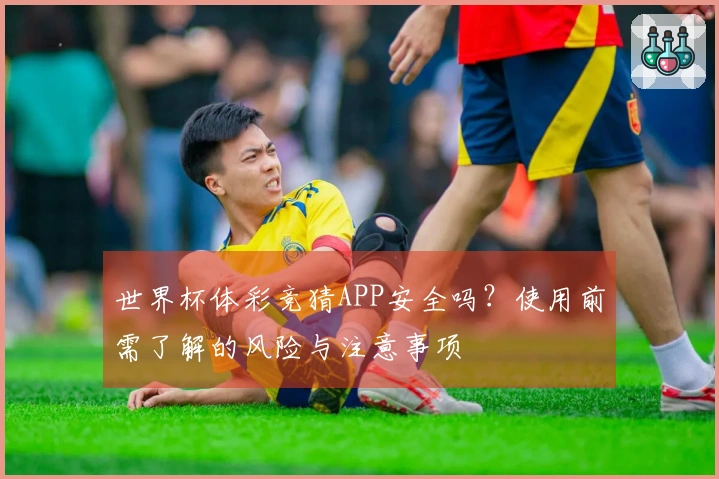 世界杯体彩竞猜APP安全吗？使用前需了解的风险与注意事项
