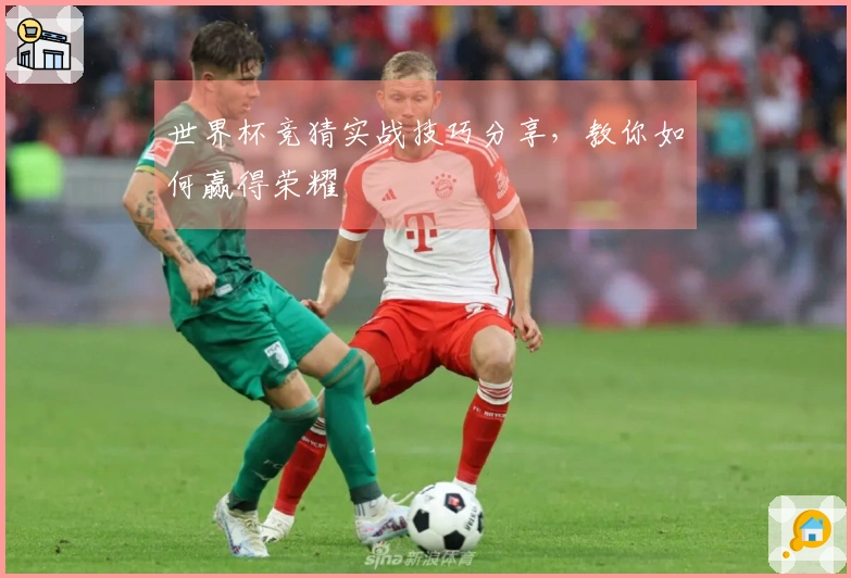 世界杯竞猜实战技巧分享，教你如何赢得荣耀