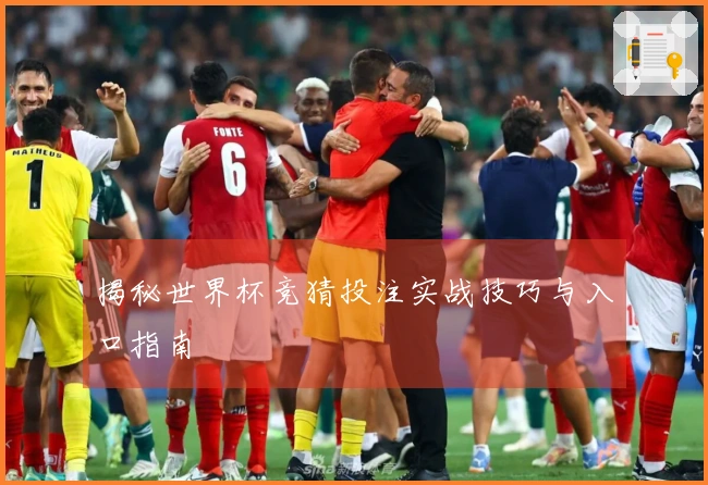 揭秘世界杯竞猜投注实战技巧与入口指南