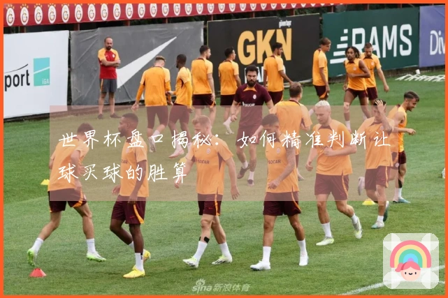 世界杯盘口揭秘：如何精准判断让球买球的胜算