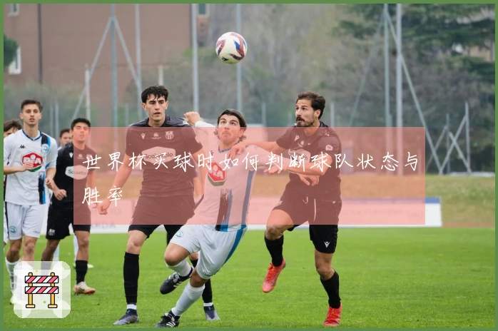 世界杯买球时如何判断球队状态与胜率