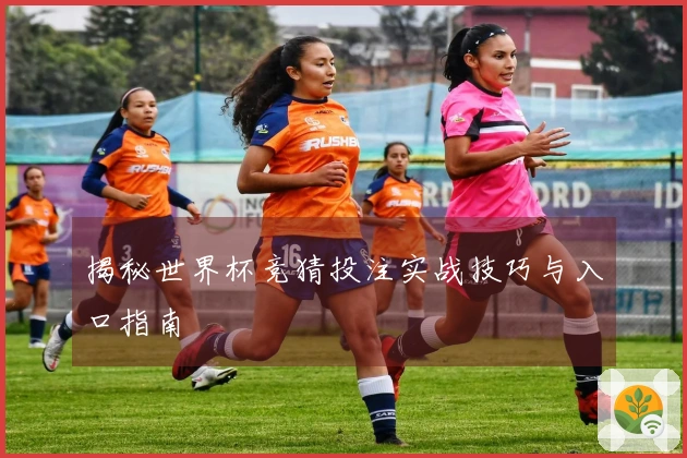 揭秘世界杯竞猜投注实战技巧与入口指南