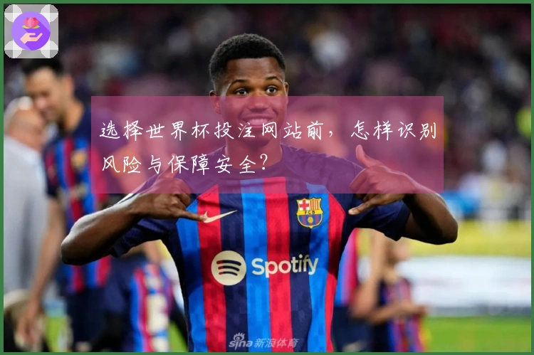 选择世界杯投注网站前，怎样识别风险与保障安全？